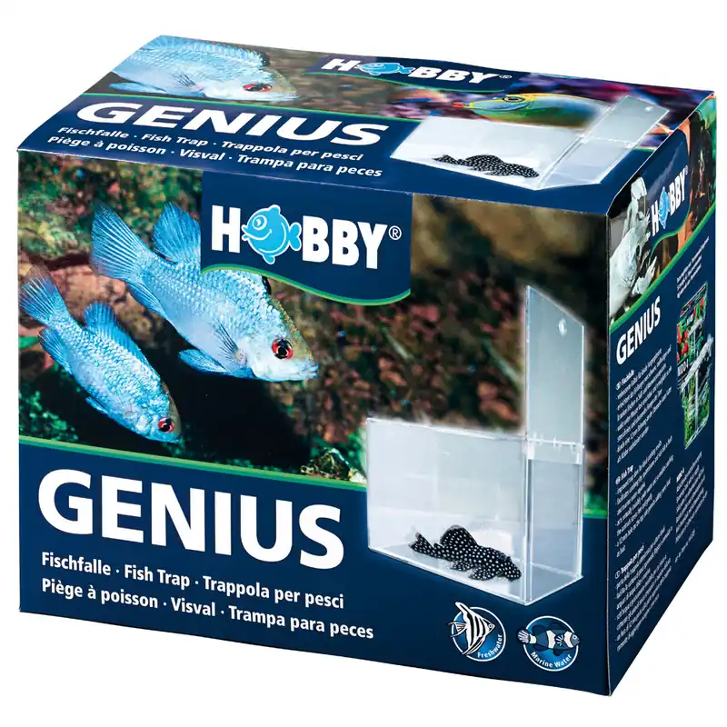 Nur Heute HOBBY Genius Fischfalle
